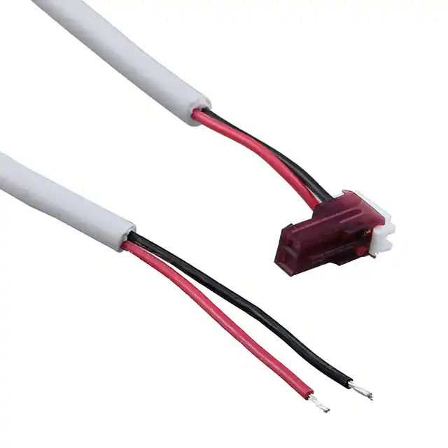 RCK2-100-1 Carlo Gavazzi Inc. electronic component