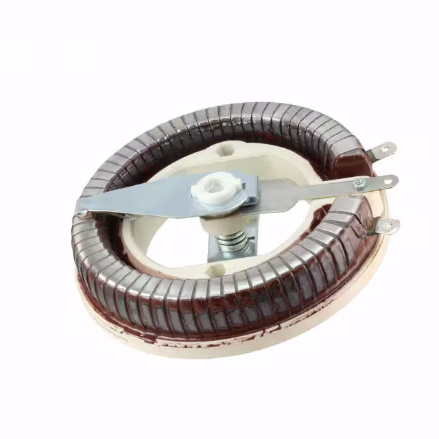 RRS1R0E Ohmite electronic component