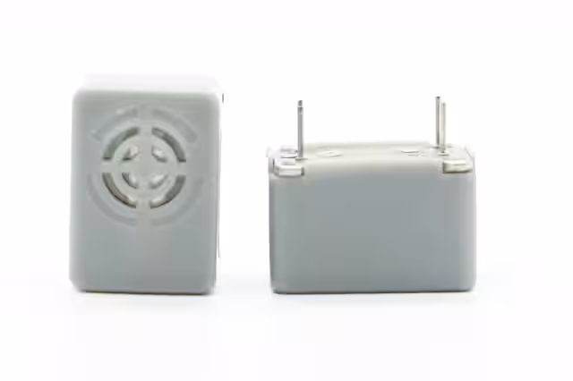 BS2316P-06-C-B Intervox electronic component