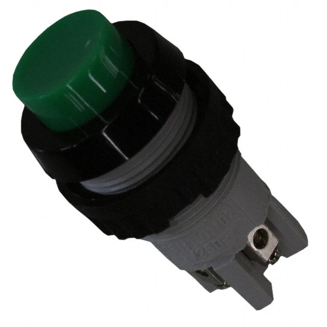1.01.102.001/0507 RAFI USA electronic component