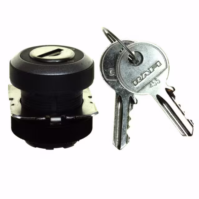 1.30.245.322/0000 RAFI USA electronic component