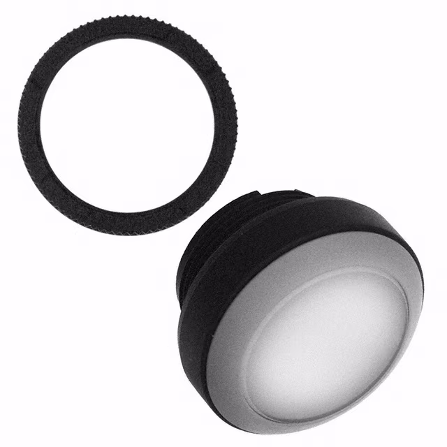 1.30250.0111008 RAFI USA electronic component