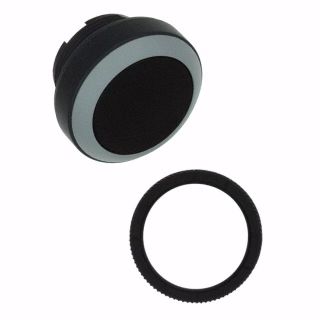 1.30250.1010108 RAFI USA electronic component