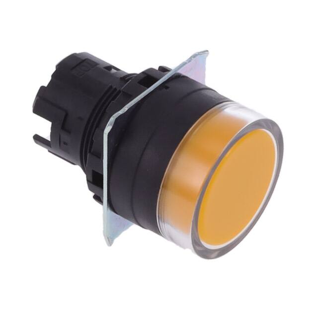 A22NZ-BGM-NYA Omron Automation and Safety electronic component