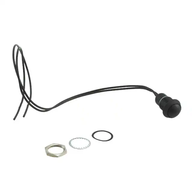 AP2D200TWBE C&K electronic component