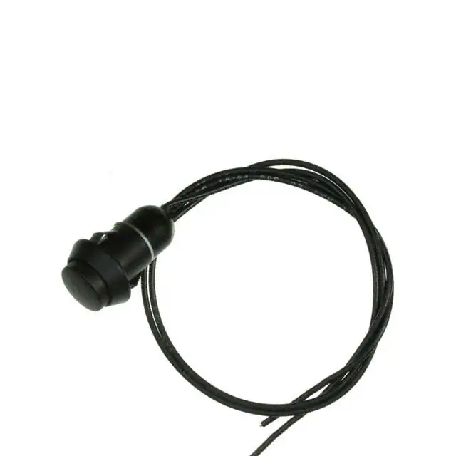 AP2E200SWBE C&K electronic component