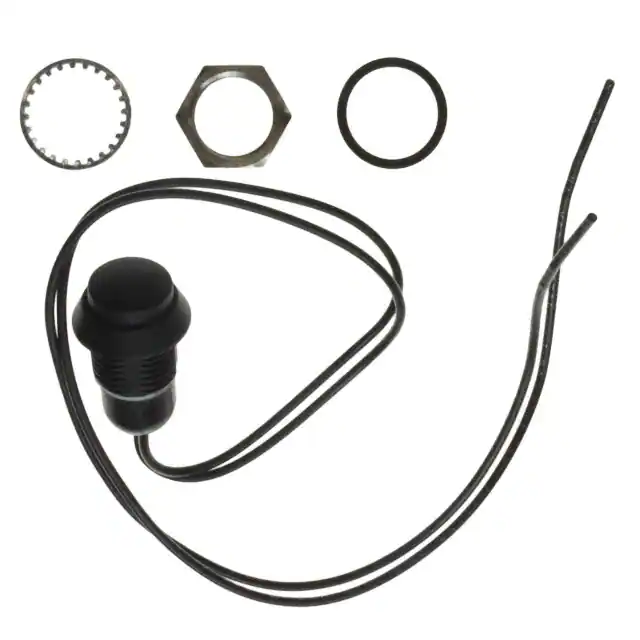 AP2E200TWBE C&K electronic component
