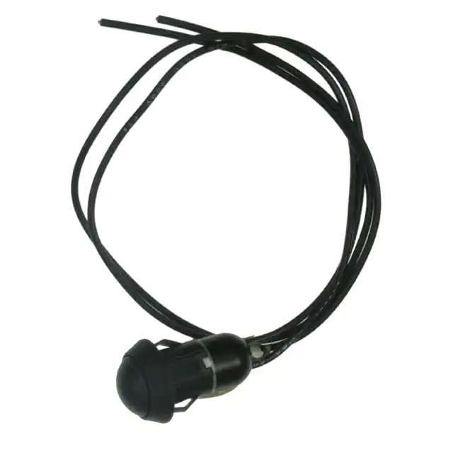AP4D200SWBE C&K electronic component