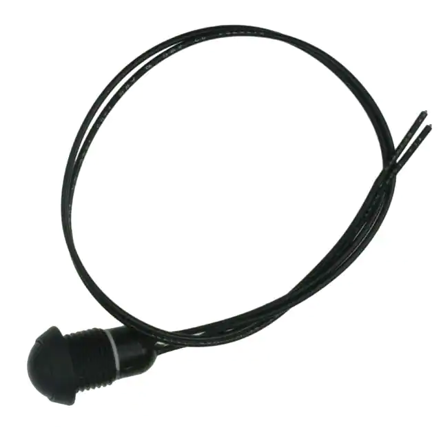 AP4D200TWBE C&K electronic component
