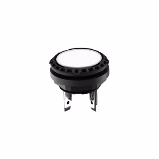 1.15.210.920/0000 RAFI USA electronic component