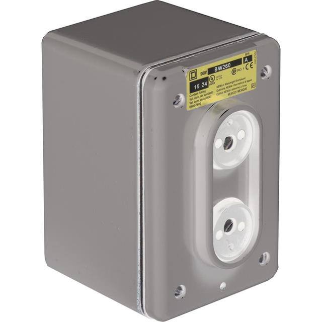 9001BW260 Schneider Electric electronic component