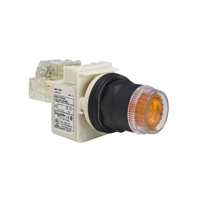 9001SK2L38LYAH13 Schneider Electric electronic component