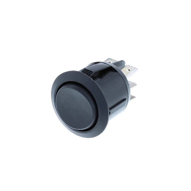 RA1-2F-DC-2-B Switch Components electronic component