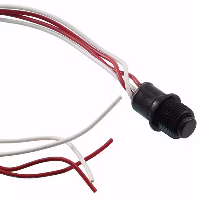 NP8S2R2W4QE C&K electronic component