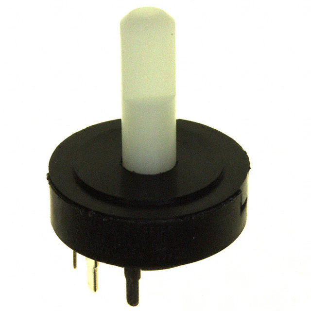 R10307RN02Q C&K electronic component