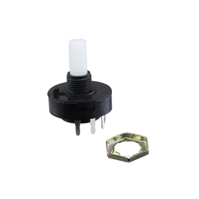 R10307RR02Q C&K electronic component