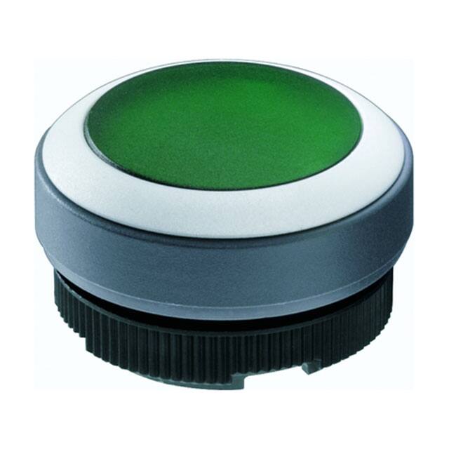 1.30250.1010207 RAFI USA electronic component