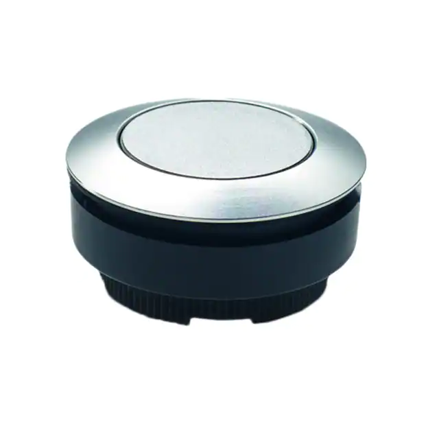 1.30.290.021/0100 RAFI USA electronic component