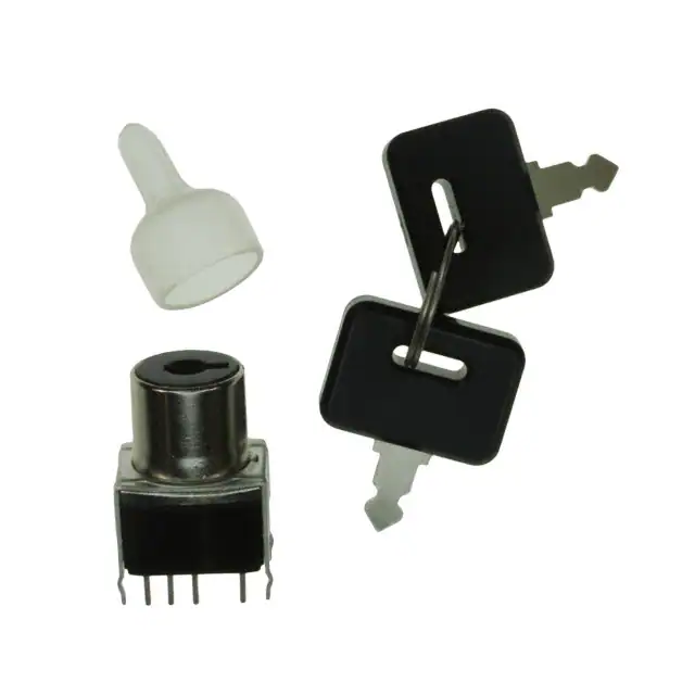 SK24DG13 NKK Switches electronic component