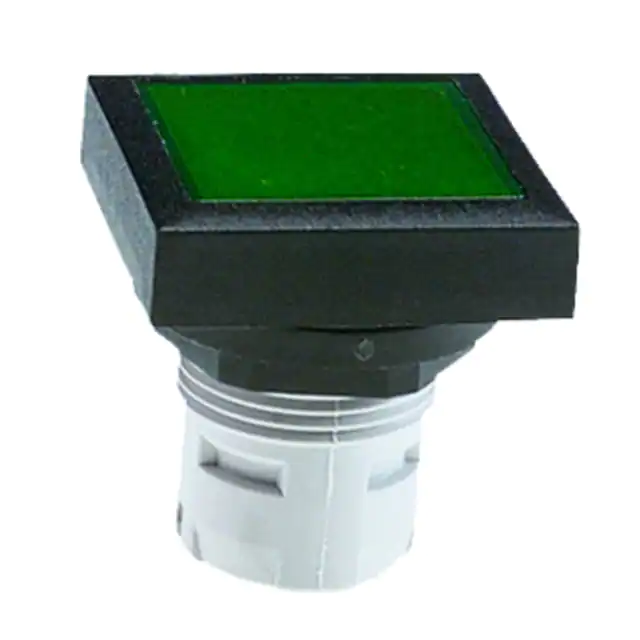 1.30.070.701/0000 RAFI USA electronic component