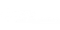 Luminary Micro Division of Texas Instruments manufacturer logo