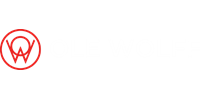 Ole Wolff Electronics Inc. manufacturer logo