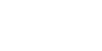 Swissbit manufacturer logo